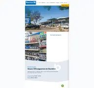 Kleine Seitenvorschau von borchers-baumarkt.de