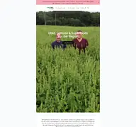 Kleine Seitenvorschau von obsthof-knab.de