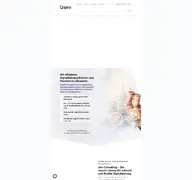 Kleine Seitenvorschau von ipro-consulting.de