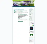 Kleine Seitenvorschau von weisenbach.de