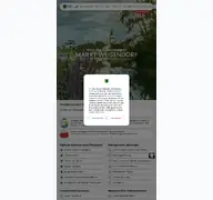 Kleine Seitenvorschau von weisendorf.de