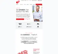 Kleine Seitenvorschau von gowbox.de