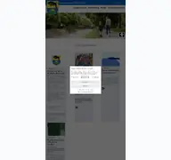 Kleine Seitenvorschau von schruns.at