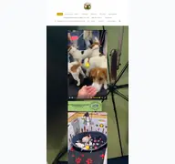 Kleine Seitenvorschau von jackrussellterrierfamilienzucht.de