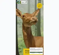 Kleine Seitenvorschau von botschaftderwildtiere.de
