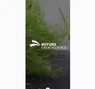 Kleine Seitenvorschau von boyens-medienservice.de