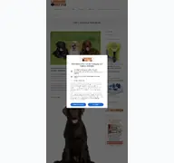 Kleine Seitenvorschau von labradorseite.de