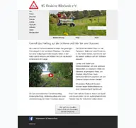 Kleine Seitenvorschau von ig-draisine-elbtalaue.de