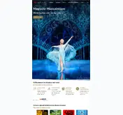 Kleine Seitenvorschau von musical-mit-hotel.de