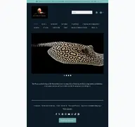 Kleine Seitenvorschau von zoofachgeschaeft-reischel.de