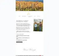 Kleine Seitenvorschau von simon-weingut.de