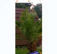 Kleine Seitenvorschau von lambadapark.de