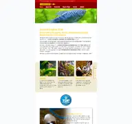 Kleine Seitenvorschau von aquaristik-mzvivaristik-koelndellbrueck.de
