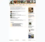 Kleine Seitenvorschau von meerschweinchenberatung.at