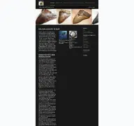 Kleine Seitenvorschau von megalodon-shop.de