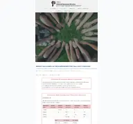Kleine Seitenvorschau von wgg.musin.de