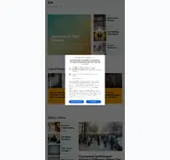 Kleine Seitenvorschau von armchairanswers.com