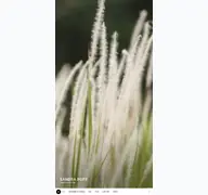Kleine Seitenvorschau von sandra-popp.de