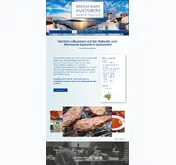 Kleine Seitenvorschau von santorini-gadenstedt.de