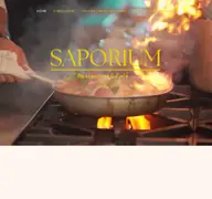 Kleine Seitenvorschau von saporium-bonn.de