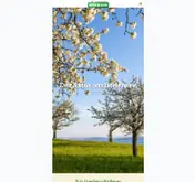 Kleine Seitenvorschau von widemann-saft.de