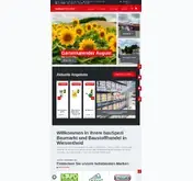 Kleine Seitenvorschau von wiesentheid-bauspezi.de