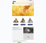 Kleine Seitenvorschau von icl-group.de