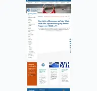 Kleine Seitenvorschau von svhemelingen.de