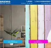 Kleine Seitenvorschau von briewig.de