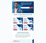Kleine Seitenvorschau von dyn-dns.de