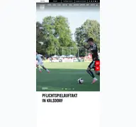 Kleine Seitenvorschau von lask.at