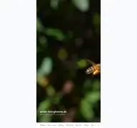 Kleine Seitenvorschau von wilde-honigbienen.de