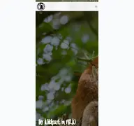 Kleine Seitenvorschau von wildpark-nrw.de