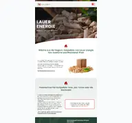 Kleine Seitenvorschau von lauer-energie.de