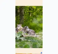 Kleine Seitenvorschau von wildtierpark.de