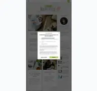 Kleine Seitenvorschau von broesels-buecherregal.de