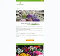 Kleine Seitenvorschau von willeke-blumen.de