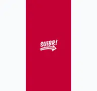 Kleine Seitenvorschau von suibr.ch