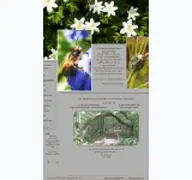 Kleine Seitenvorschau von willis-wildbienenstand.de