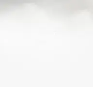 Kleine Seitenvorschau von wimwendersstiftung.de