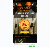 Kleine Seitenvorschau von stressade-vs.de