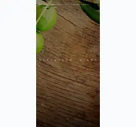 Kleine Seitenvorschau von sigma-restaurant.de