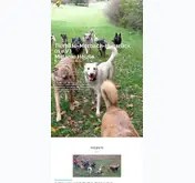 Kleine Seitenvorschau von tierhilfe-m-h.de
