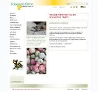 Kleine Seitenvorschau von bs-aachen.de