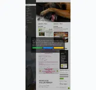 Kleine Seitenvorschau von bsb-e-v.de
