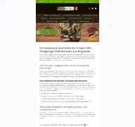 Kleine Seitenvorschau von kreativmiller.de