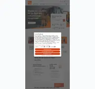 Kleine Seitenvorschau von bsr.de
