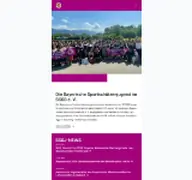 Kleine Seitenvorschau von bssj.de
