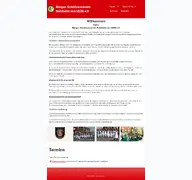 Kleine Seitenvorschau von bsv-holzheim.de
