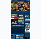 Kleine Seitenvorschau von bsv-live.de